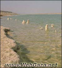 Dead Sea - 405 meters below seallevel make the Dead Sea the lowest point on earth, which because of its high salt content makes it inhospitable to life...